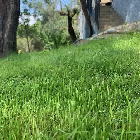 Vista Mare Portofino *